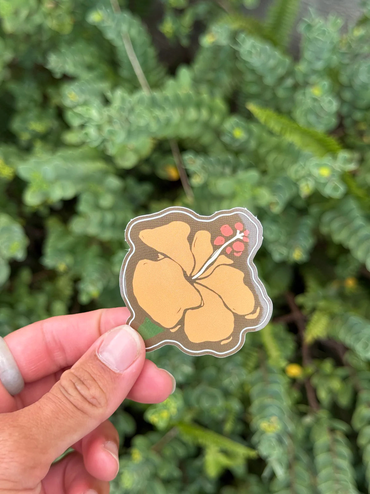 Palai Kokiʻo ʻUlaʻula Sticker