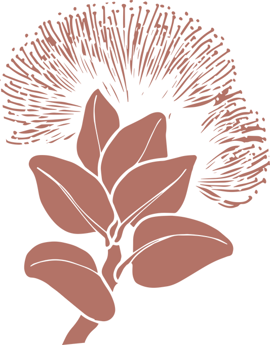 Hilo Aloha: Nā Makamaka Sponsorship