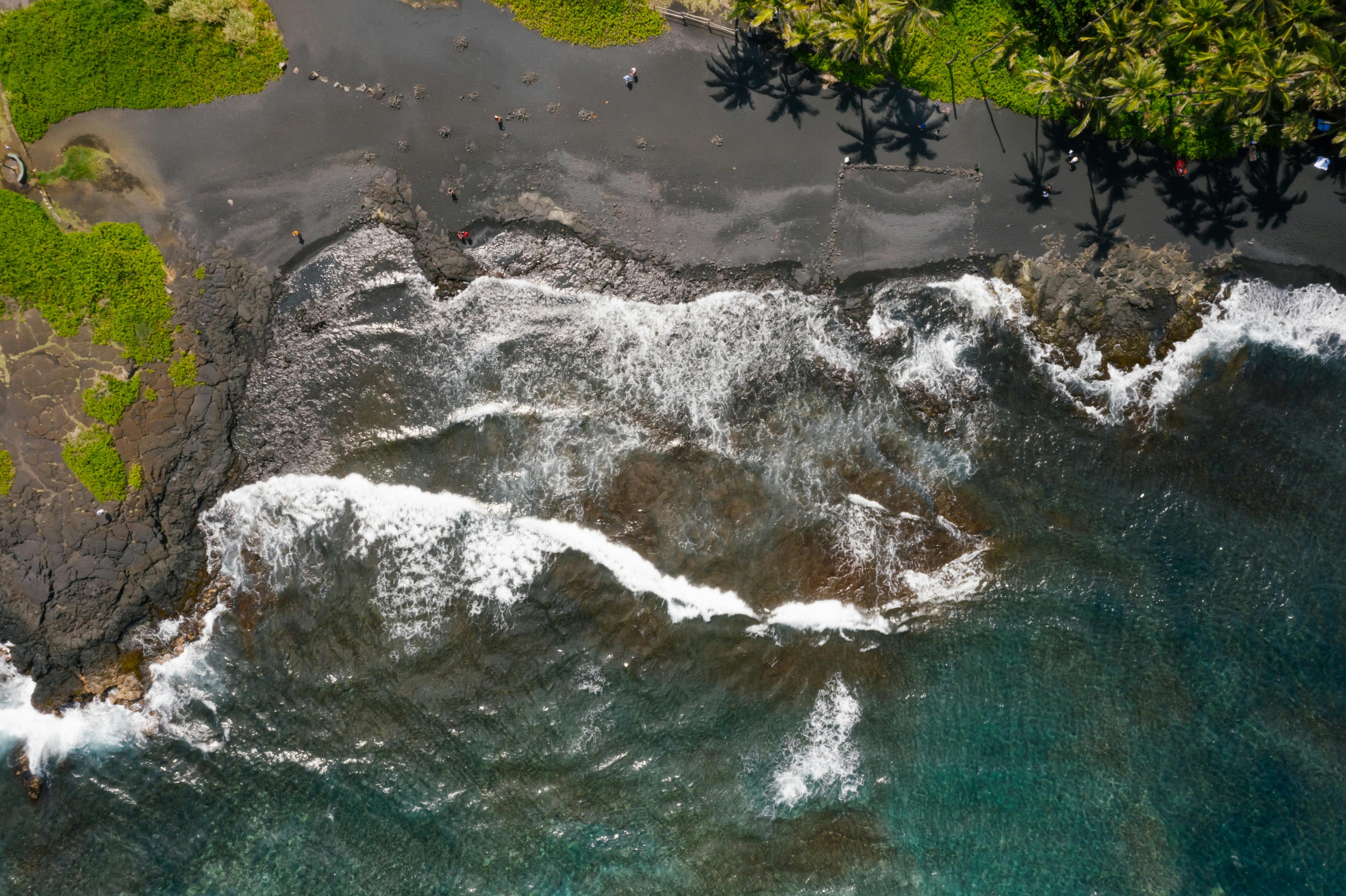 Actions of Aloha - Bringing aloha to every home.